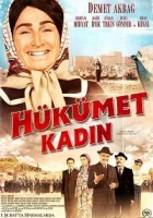 Hükümet Kadın 2013 Poster