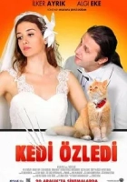 Kedi Özledi 2013 Poster