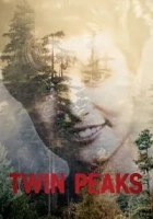 Twin Peaks 1990 Poster