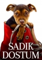 Sadık Dostum 2019 Poster