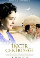 İncir Çekirdeği 2009 Poster