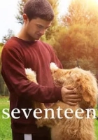 Seventeen 2019 Poster