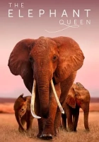 The Elephant Queen 2019 Poster