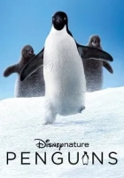 Penguenler 2019 Poster