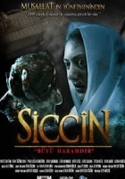 Siccîn 2014 Poster