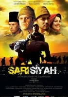 Sarı Siyah 2013 Poster