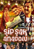 Şipşak Anadolu 2014 Poster