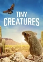 Tiny Creatures 2020 Poster