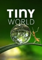 Tiny World 2020 Poster