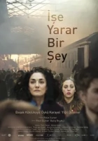 İşe Yarar Bir Şey 2017 Poster