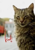 Kedi 2017 Poster