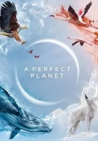 A Perfect Planet 2021 Poster