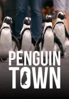 Penguin Town 2021 Poster