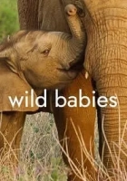 Wild Babies 2022 Poster