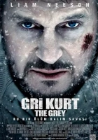 Gri Kurt 2011 Poster