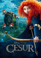 Cesur 2012 Poster