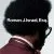 Roman J. Israel, Esq. Small Poster