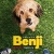 Benji Small Poster