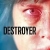 Destroyer Small Poster