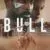 Bull Small Poster