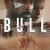 Bull Small Poster