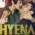 Hyena Small Poster