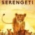 Serengeti Small Poster