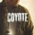 Coyote Small Poster