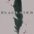 Black Bird Small Poster